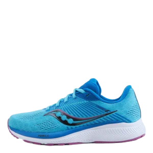 Guide 14 Blue Blaze/berry