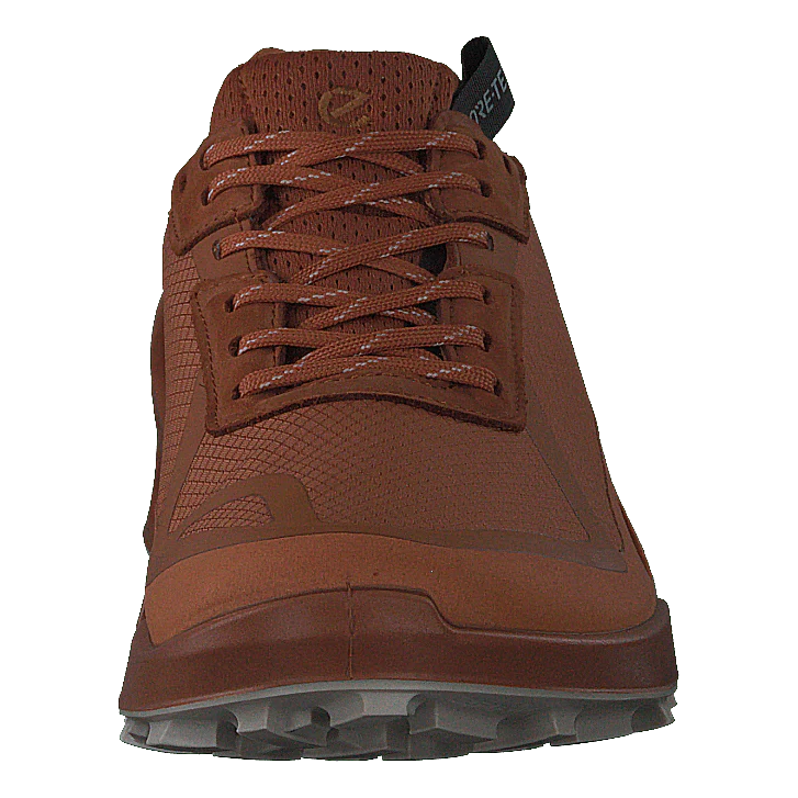 Ecco Biom 2.1 X Country W Sierra/sierra - Bild 5
