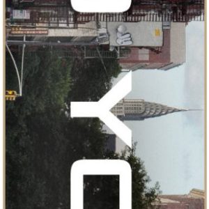 Zoo York Block Buster Komplett Skateboard (Chrysler)