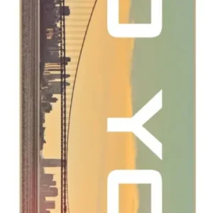 Zoo York Block Buster Komplett Skateboard (Bridge)