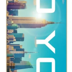 Zoo York Block Buster Komplett Skateboard (Big City Flare)